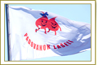 Akcija