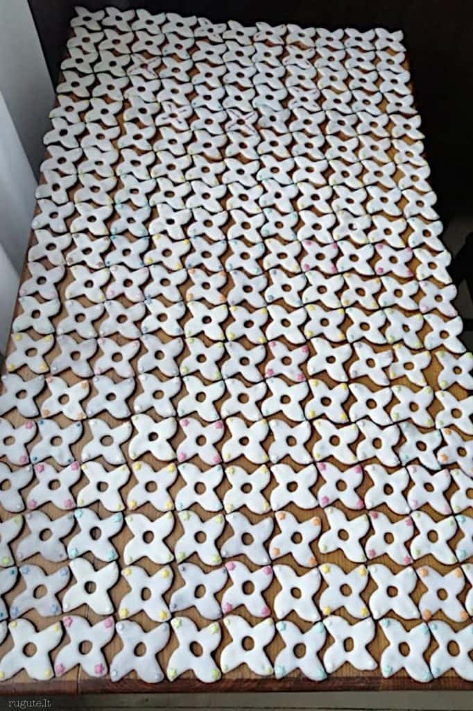 Mamos proginiai meduoliai