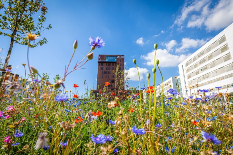 Aarhus Universitetshospital