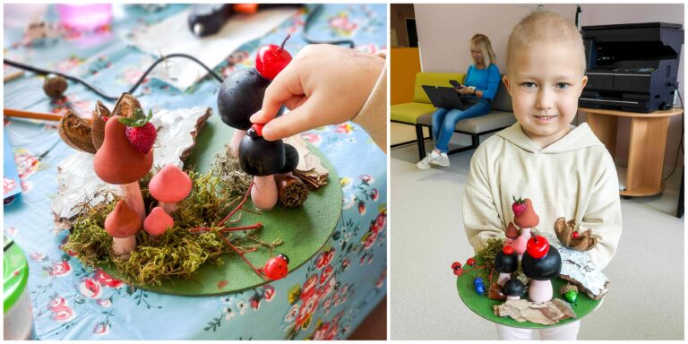 Grybauti į svajonių mišką