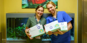 „3M™ Tegaderm™ CHG“ pleistrus