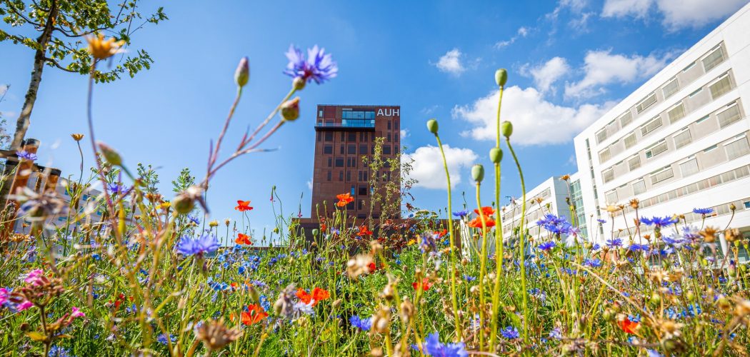 Aarhus Universitetshospital